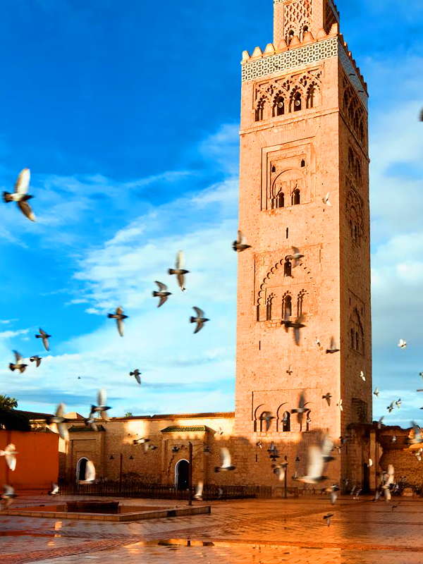 3 days from Marrakech to chefchaouen the blue city