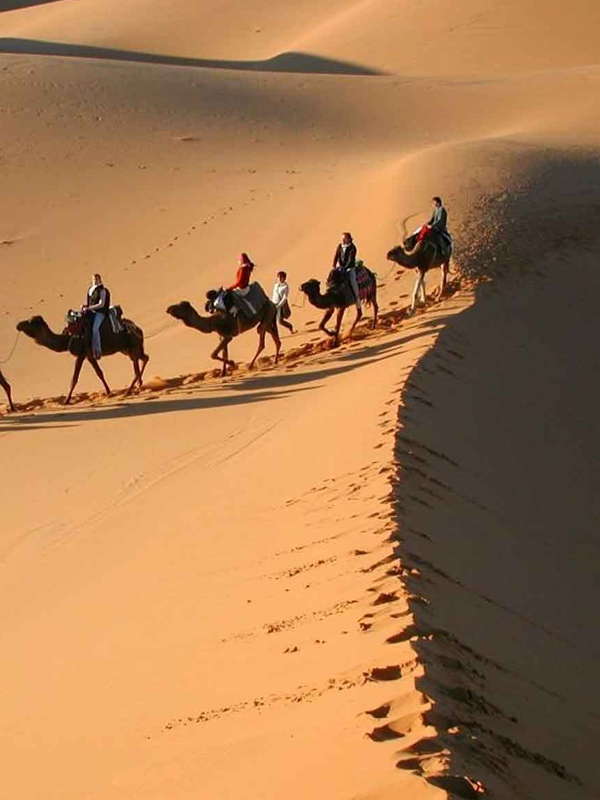 7 Days Trip From Marrakech To The Great Southern Desert And Camel Trek