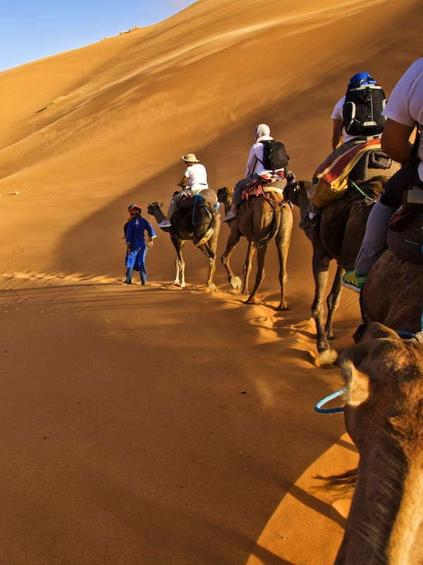 8 Days trip from Marrakech Desert and Camel trek